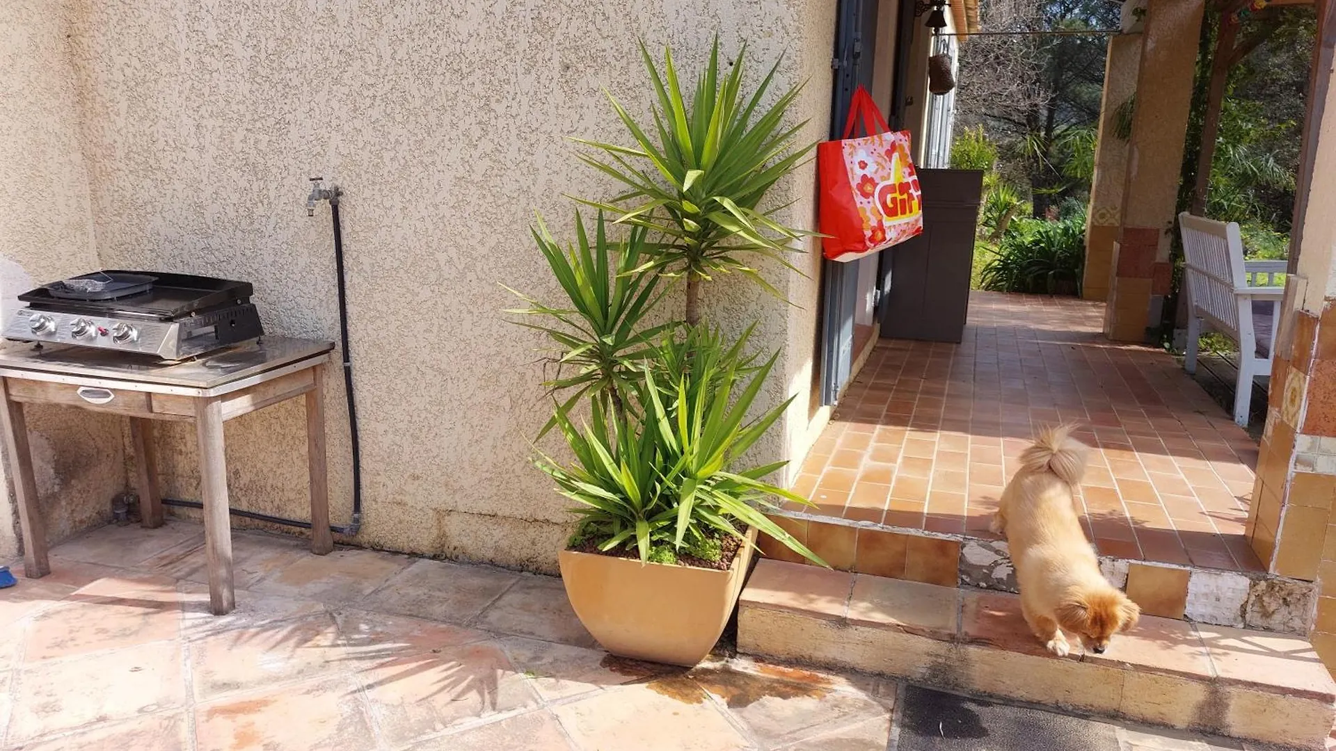 Apartment Studio Pres De La Mer Gassin